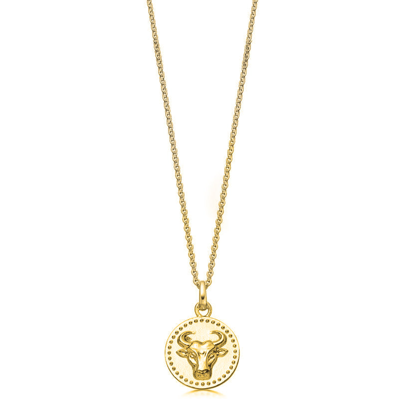 18ct Gold plated Silver Zodiac Necklace - hersey-and-son