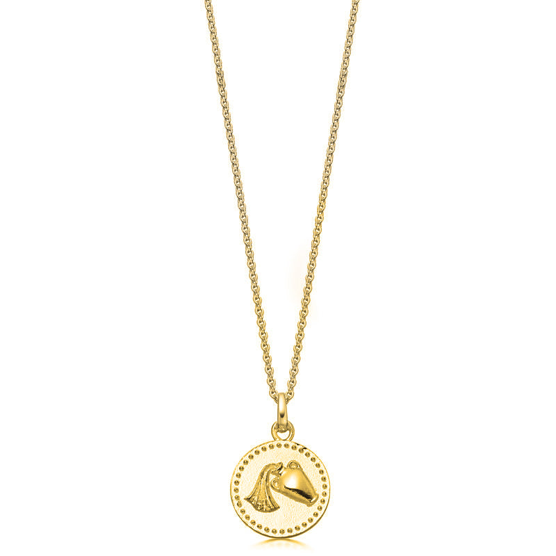 18ct Gold plated Silver Zodiac Necklace - hersey-and-son