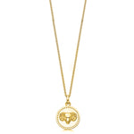 18ct Gold plated Silver Zodiac Necklace - hersey-and-son