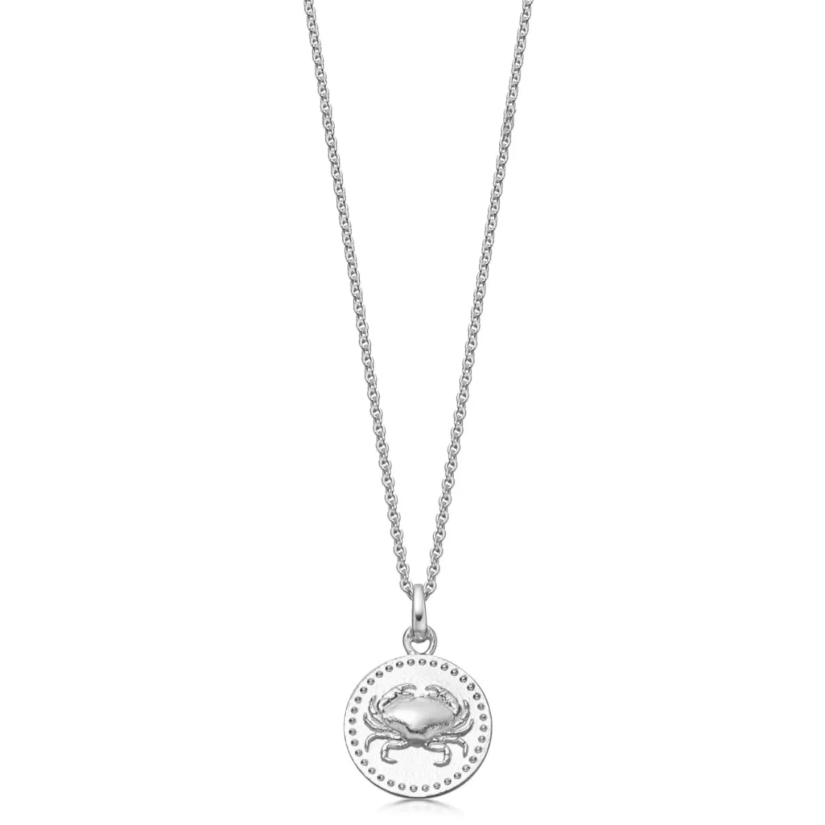 Sterling Silver Zodiac Necklace - hersey-and-son