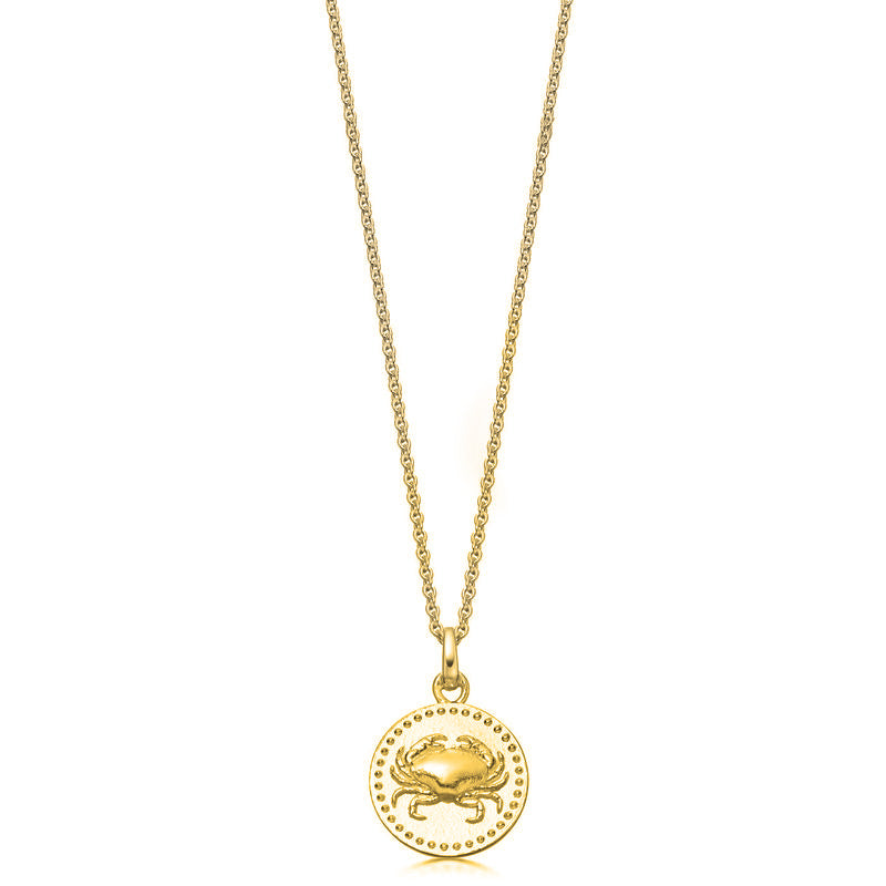 18ct Gold plated Silver Zodiac Necklace - hersey-and-son