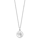 Sterling Silver Zodiac Necklace - hersey-and-son