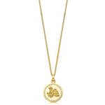 18ct Gold plated Silver Zodiac Necklace - hersey-and-son